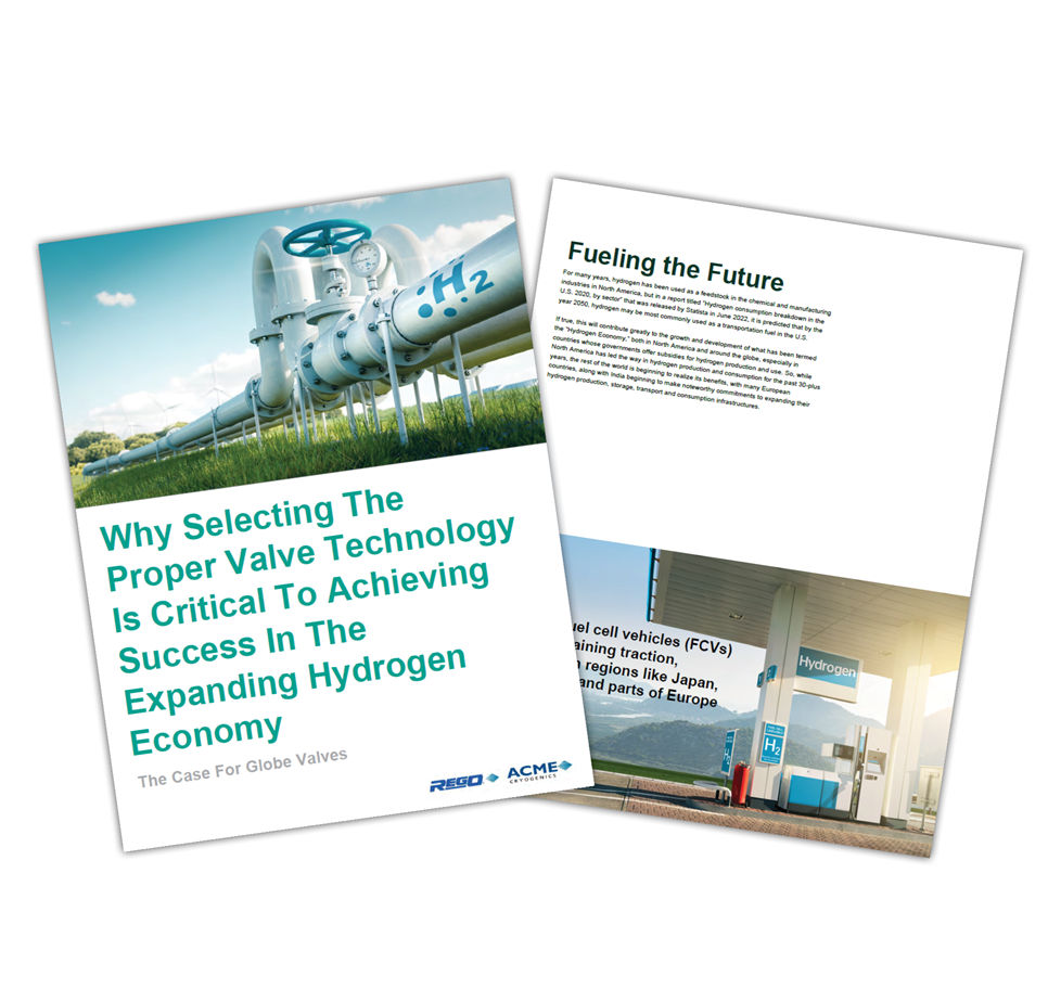 globe valves- Whitepaper Thumbnail (1)